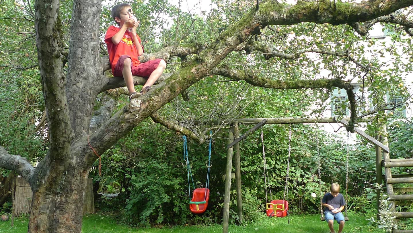 Garden with apple tree and swings